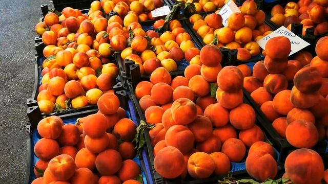 ЖИЗНЬ В АЛАНИИ 2019 / ТУРЦИЯ / Асым Баштуг смотреть онлайн