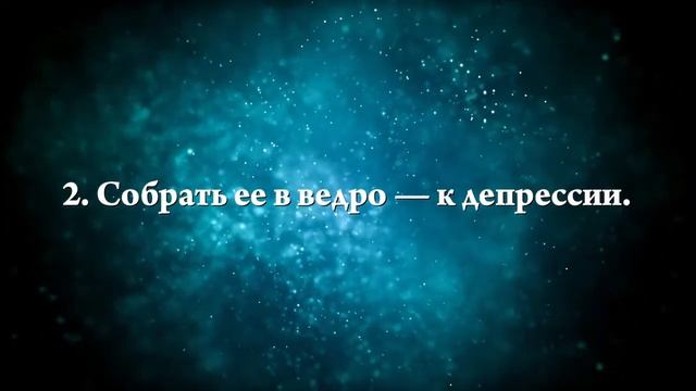 К чему снятся ягоды черники - Онлайн Сонник Эксперт