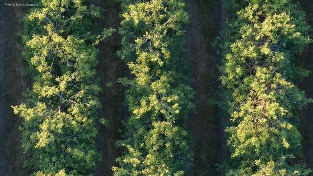 Mother Earth 4K nature sounds with relaxation music смотреть онлайн