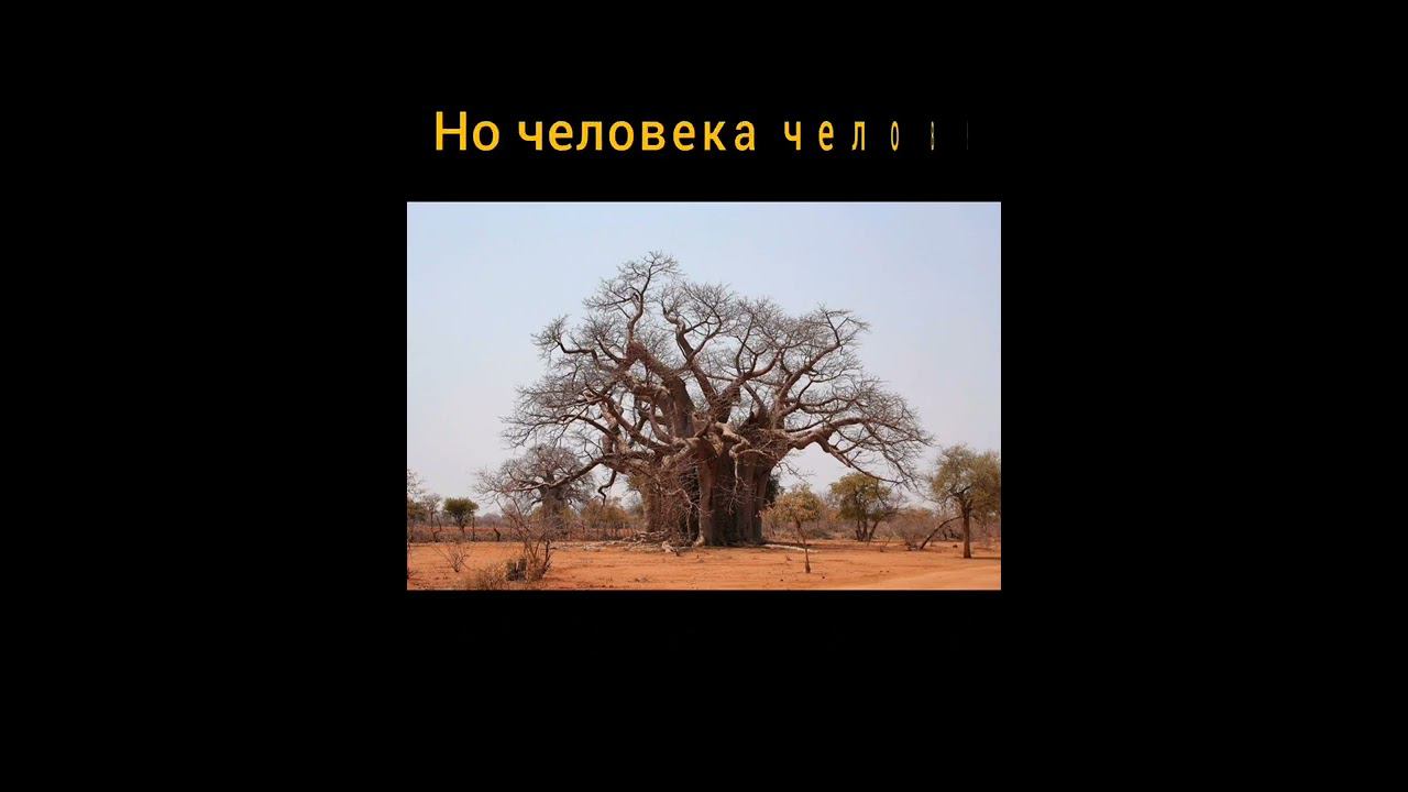 Полное видео стихотворения Анчар Выразительно чтение. Извините, что поздно... смотреть онлайн