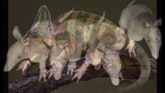 экзотические животные 4 смотреть онлайн