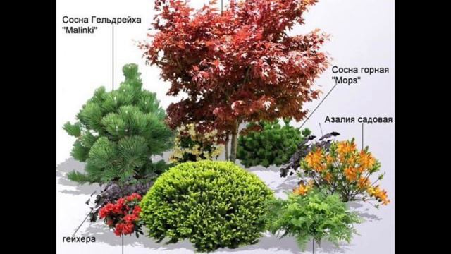 Идеи для АРХИТЕКТУРЫ сада.ЛАНШАФТНЫЙ ДИЗАЙН☀️🌞🌻#ландшафтний #дизайн #садовод смотреть онлайн