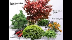 Идеи для АРХИТЕКТУРЫ сада.ЛАНШАФТНЫЙ ДИЗАЙН☀️🌞🌻#ландшафтний #дизайн #садовод