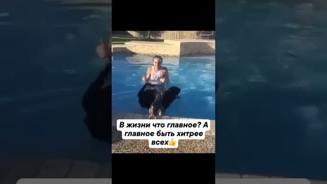 В жизни нужно быть хитрее))) смотреть онлайн