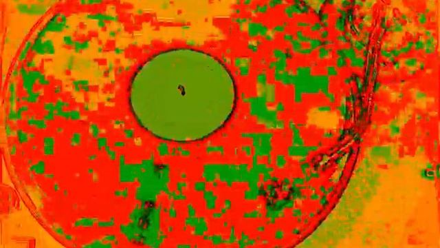 Kool & The Gang - Kind of Funky (Revenge edit) Rework By Max Belloni DJ смотреть онлайн