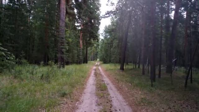 Сосновая Роща 2017 июнь 26 28 смотреть онлайн