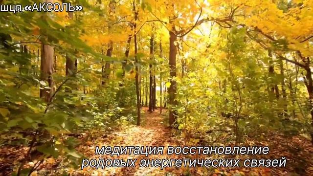 медитация «СИЛА РОДА» смотреть онлайн