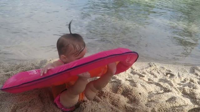 Hawaii Trip VLOG DAY 1 Part 2 Swimming in Lagoon, Black Swans and Ice Cream смотреть онлайн