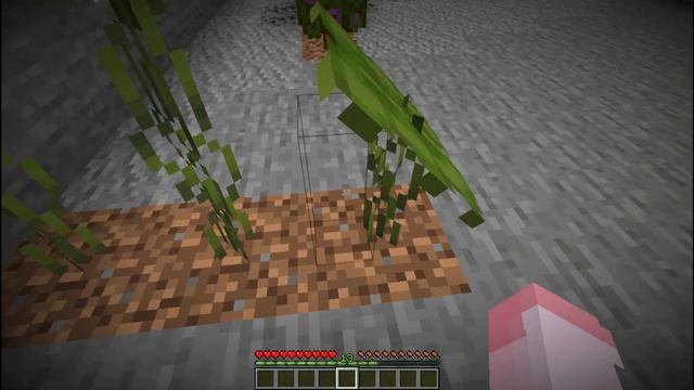 ДатаПак на Новое ПЕЩЕРНОЕ ОБНОВЛЕНИЕ 1.17 смотреть онлайн