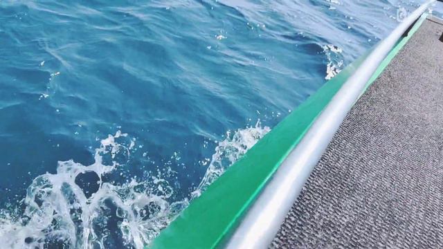 отдых #наморе #джубга голубая бухта #лермонтово #приключения прогулки в открытом море #август2023