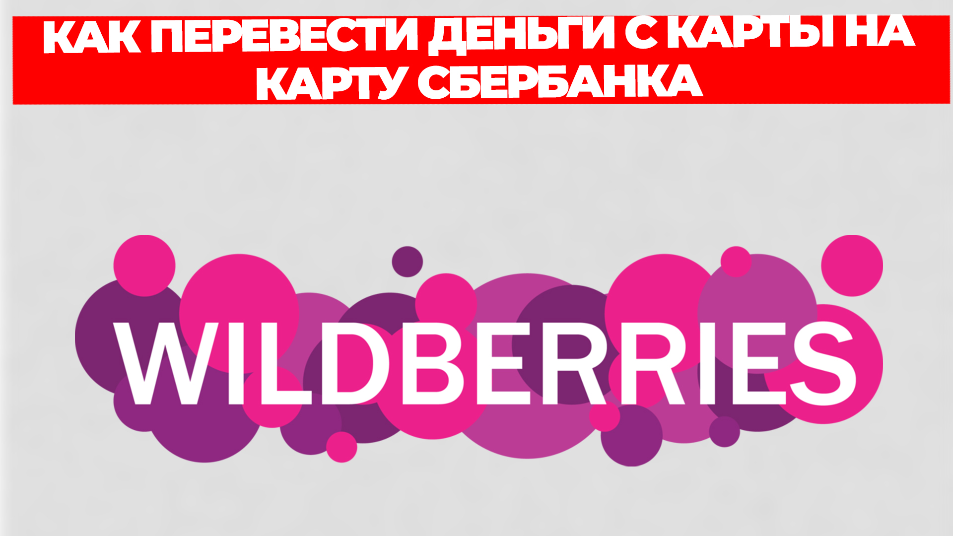 Всезнающий Енот