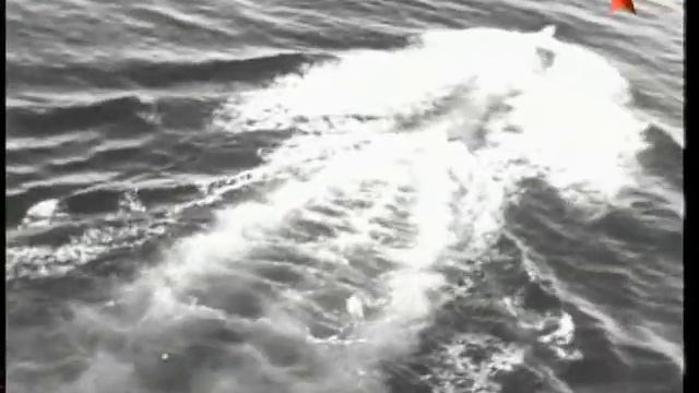 Оружие победы - Подводная лодка Щука - 35/36 смотреть онлайн