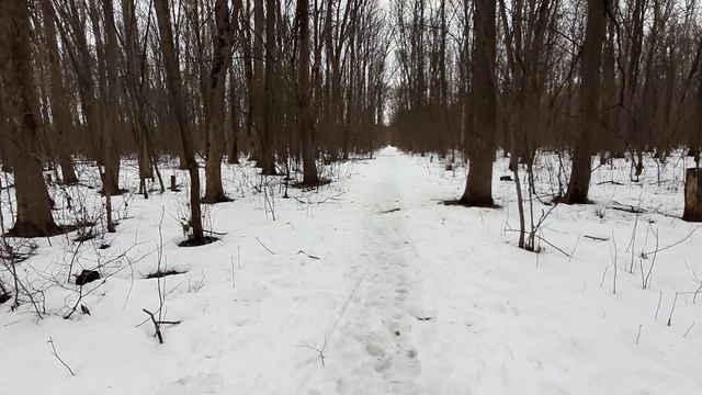 ВСЕ ЧТО СНЯЛ НА КАМЕРУ САМСУНГ А50