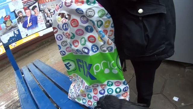 KAAR!Когда галчонок понял его будут кормить смотреть онлайн