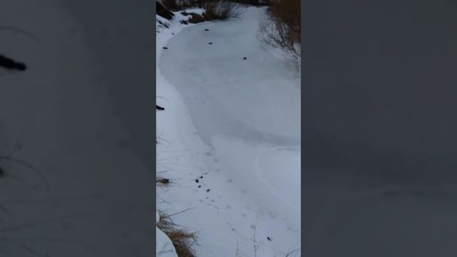 #2. Охота на ворон зимой. смотреть онлайн