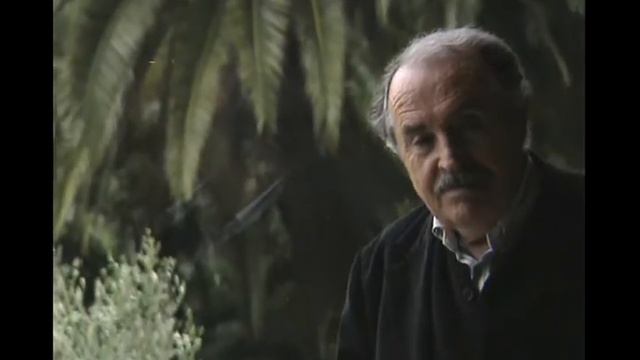 Tonino Guerra su Michelangelo Antonioni смотреть онлайн