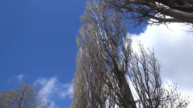 Беларусь Мозырь река Припять