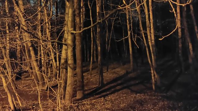 Redmi Note 10 Непредвзятый обзор. смотреть онлайн