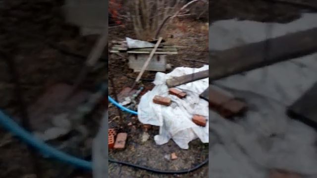 Привольная рулит смотреть онлайн