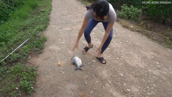 Amazing Fishing | Catfish Fishing Red Belly Fish | Best Hook Fishing