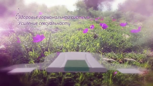 Bionic Anion - анионовые прокладки! смотреть онлайн
