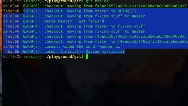 BrainBloomer.com - Git's Secret Undo Button смотреть онлайн