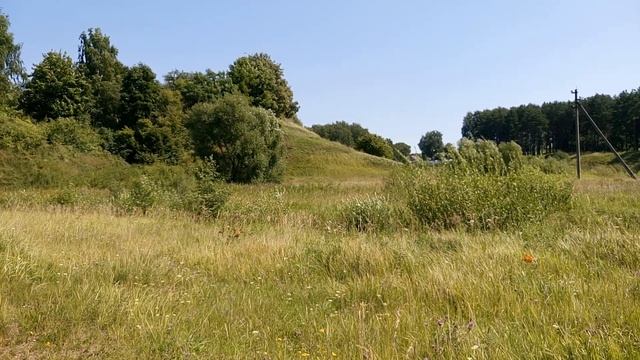 Почему ПОЛИТИКА ЧУШЬ СОБАЧЬЯ смотреть онлайн