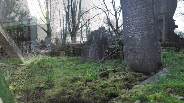 К чему снится КЛАДБИЩЕ | Приснилось кладбище значение по соннику | Трактовка сна про кладбище смотреть онлайн