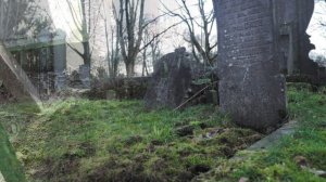 К чему снится КЛАДБИЩЕ | Приснилось кладбище значение по соннику | Трактовка сна про кладбище