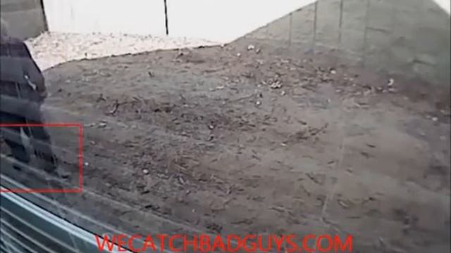 Clueless on camera смотреть онлайн