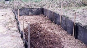 Траншея  для посадки голубики . Изоляция грунта.