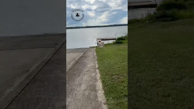 I think it’s time to call The Missing Kitty Bureau of Investigation смотреть онлайн