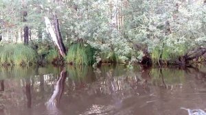 рыбалка на реке бужа