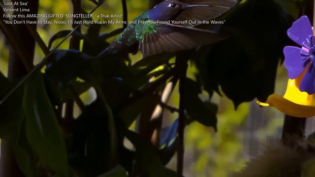 LOST AT SEA - VINCENT LIMA "You don't have to stay, no, I'll just hold you in my arms and pray you" смотреть онлайн