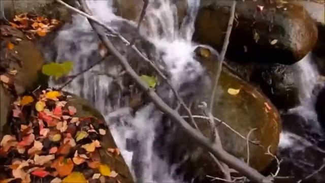 Унылая пора! Очей очарованье! смотреть онлайн