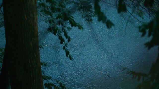 RAIN SOUND - AMBIENT MUSIC - MUSIC THERAPY смотреть онлайн