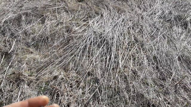 Коп, в доль реки по хуторкам. смотреть онлайн