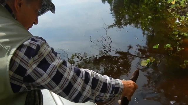 Ловля щуки, спиннингом на колебалки в запрессованных водоёмах. Где и как поймать щуку. Часть 2. смотреть онлайн