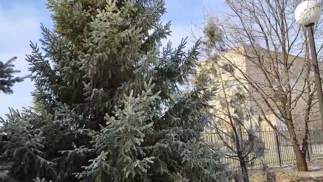 #Стихи. Как создали людей? Старинная индусская #легенда. #Стихотворение смотреть онлайн