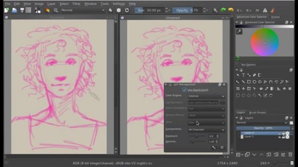 Krita 2.9 quicktip: Value workflow with the LUT docker
