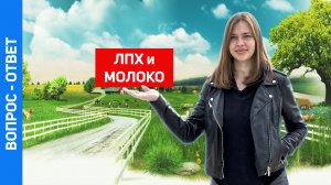 Как зарегистрировать ЛПХ и официально продавать молоко?