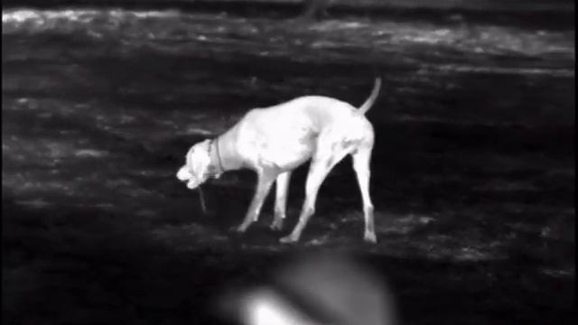 First video with Helion 2 XP50 смотреть онлайн