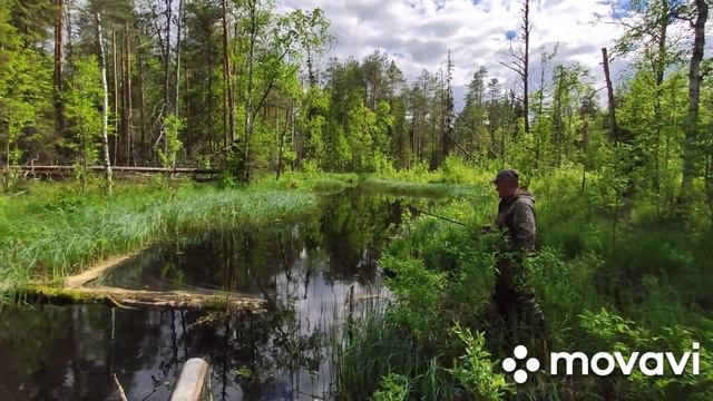 Рыбалка на Ваневажском озере.Архангельская область. смотреть онлайн