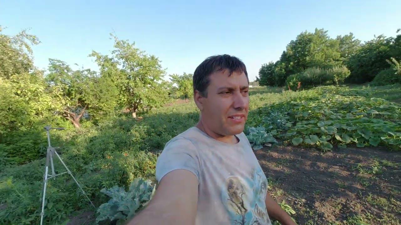 САМ В ШОКЕ / УБРАЛ ПОЛИВ / ПЕРЕНЕСЛИ КОМПОТЫ смотреть онлайн