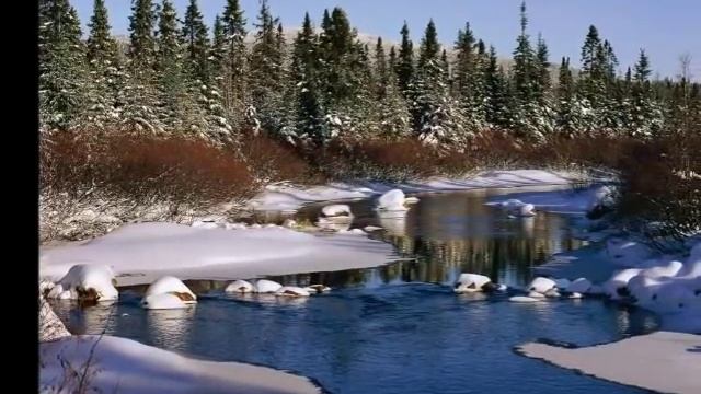 Сказочные красоты, зимнего леса, замечательно )))