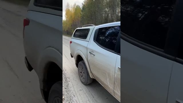 ОСТАНОВИЛИ В ЛЕСУ И ОШТРАФОВАЛИ ЗА СБОР ГРИБОВ! смотреть онлайн