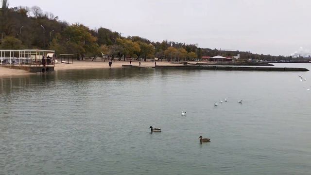 Мариуполь, гор.пляж, 24.10.2021 смотреть онлайн