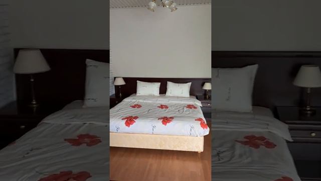 Номер Студия Эко отель Лесная усадьба смотреть онлайн