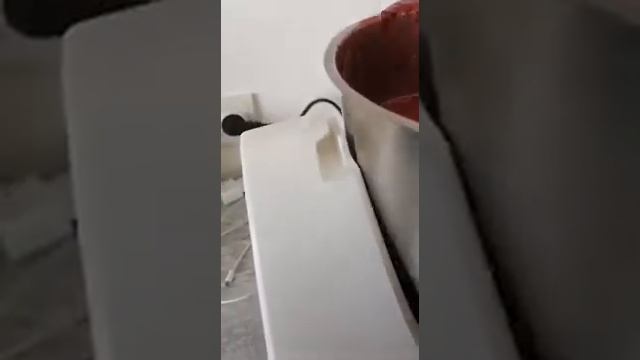 Интересные Факты о Животных