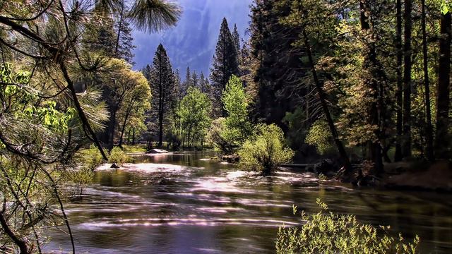 Calm Forest River | 4K Video | Relaxing Music | Piano & Flute смотреть онлайн